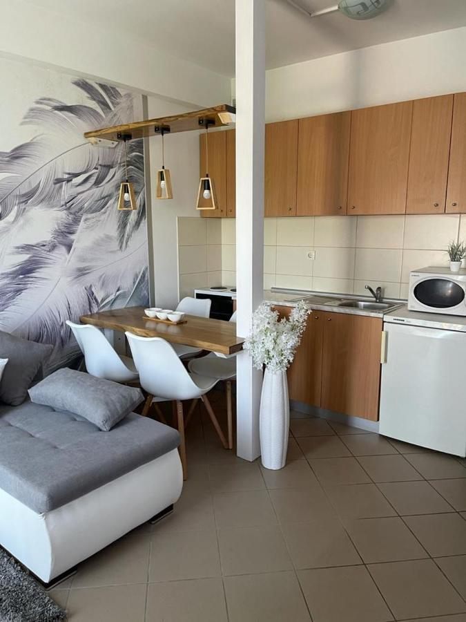 Apartman Lukic Banja Koviljača Esterno foto