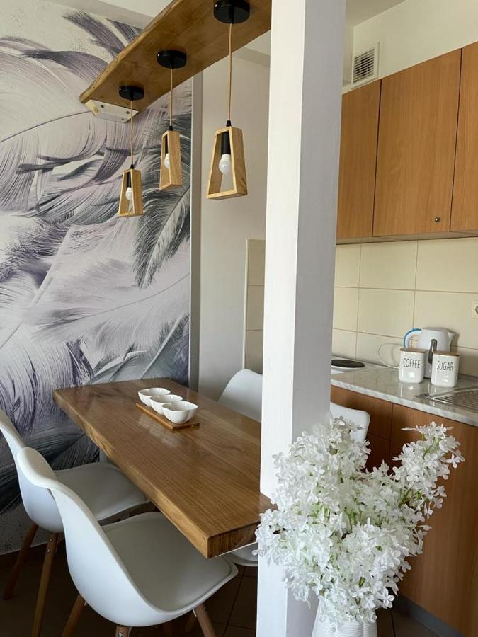 Apartman Lukic Banja Koviljača Esterno foto