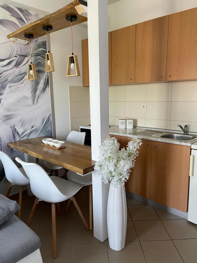 Apartman Lukic Banja Koviljača Esterno foto