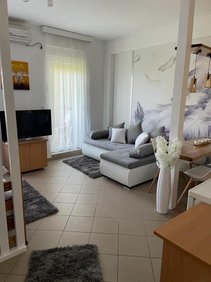 Apartman Lukic Banja Koviljača Esterno foto