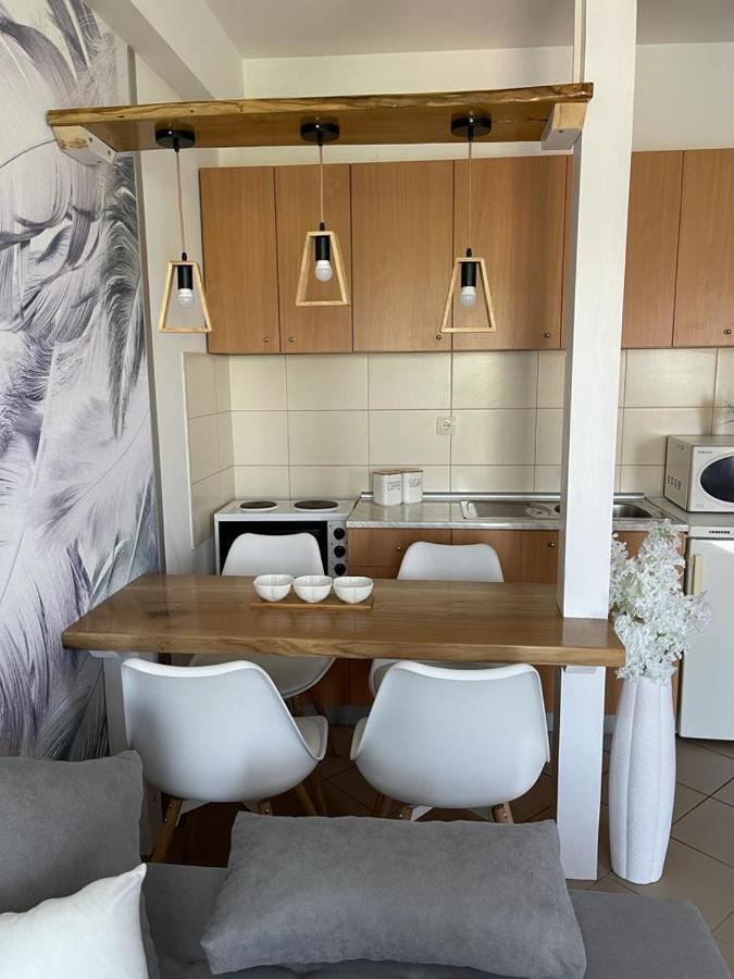 Apartman Lukic Banja Koviljača Esterno foto