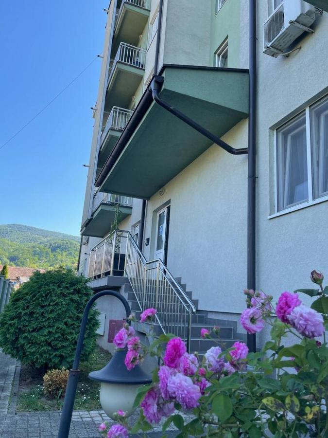 Apartman Lukic Banja Koviljača Esterno foto