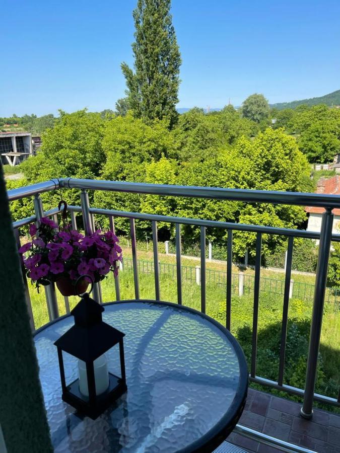 Apartman Lukic Banja Koviljača Esterno foto
